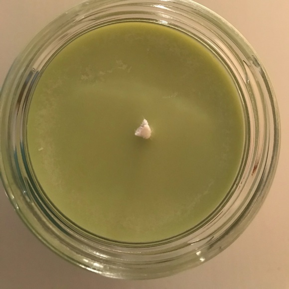 1 6 OZ 100% Soy Grapefruit and Mint Candle - Picture 2 of 2